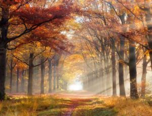 Paysage Melancolique - Fanfare Band