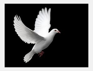 Song of Peace - Fanfare Band