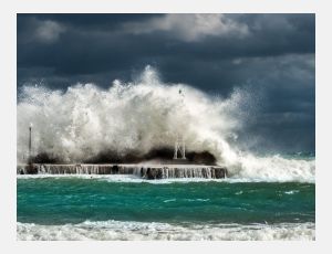 The Coast - Ensembles