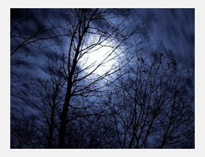 The Night of the Forrest - Fanfare Band