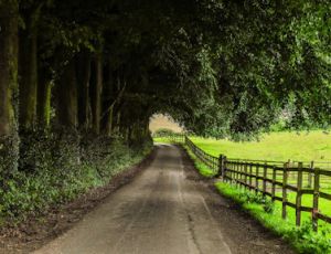 Trip down Memory Lane - Fanfare Band