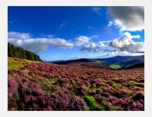Wicklow Choral - Fanfare Band
