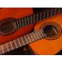 Concerto for Two (amplified) Guitars and Wind Band