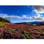 Wicklow Choral - Wind Band