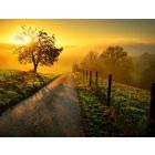 A New Day - Fanfare Band