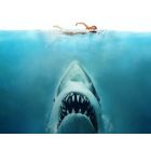 Jaws - Wind Band